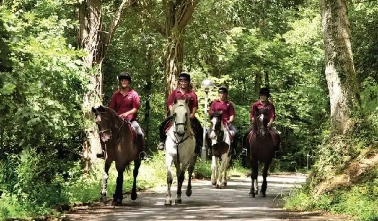 Finlake Horse Riding Centre